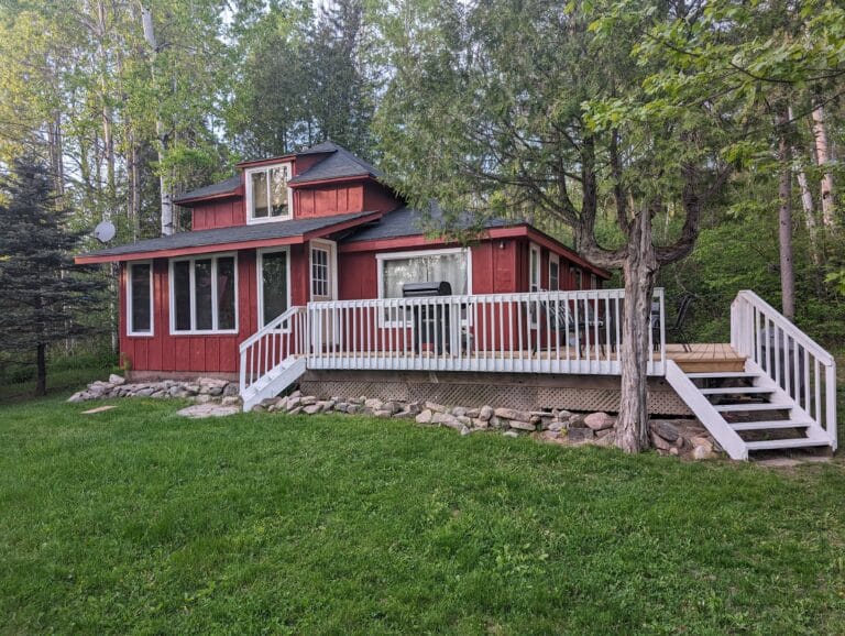 Expansive backyard with plenty of green space, bordered by trees. Ideal for various outdoor activities, from games to relaxation.